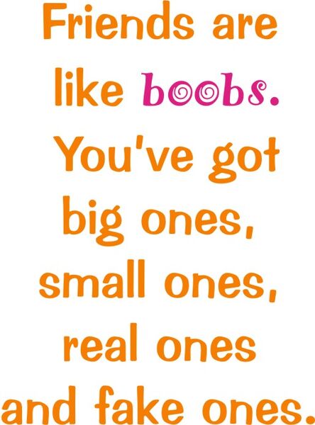 Friends are like boobs.You’ve got big ones, small ones, real ones, and fake ones.