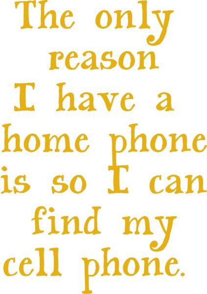 The only reason I have a home phone is so I can find my cell phone.