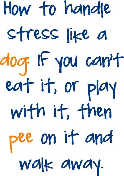 How to handle strress like a dog: If you can’t eat it or play with it, then pee on it and walk away