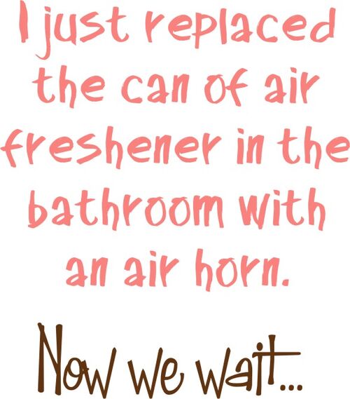 I just replaced the can of air freshner in the bathroom with an air horn. Now we wait?