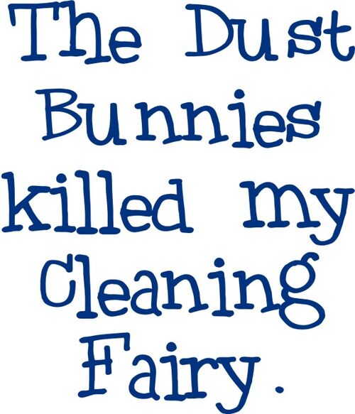 Ythe dust bunnies killed my cleaning fairy.