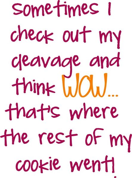 Sometimes I check out my cleavage abd think WOW?that’s where the rest of my cookie went!