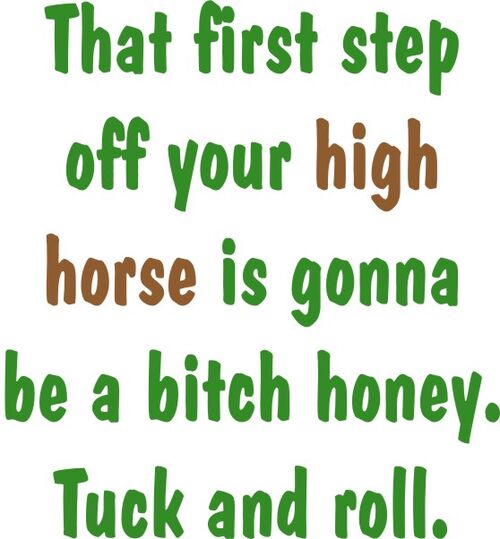 That first step off your high horse is gonna be a bitch honey. Tuck and roll.