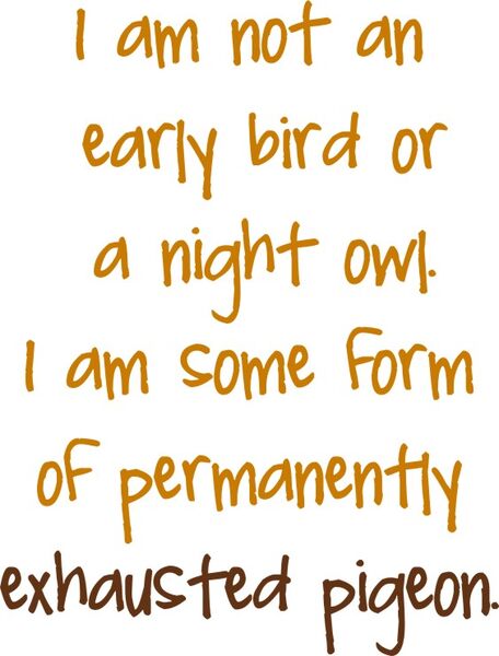 I am not an early bird or a night owl.I am some form of peranently exhausted pigeon.