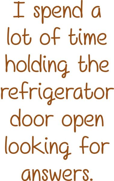 I spend a lot of time holding the refrigerator door open looking for answers.