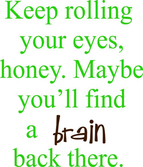 Keep rolling your eyes, honey. Maybe you’ll find a brain back there.