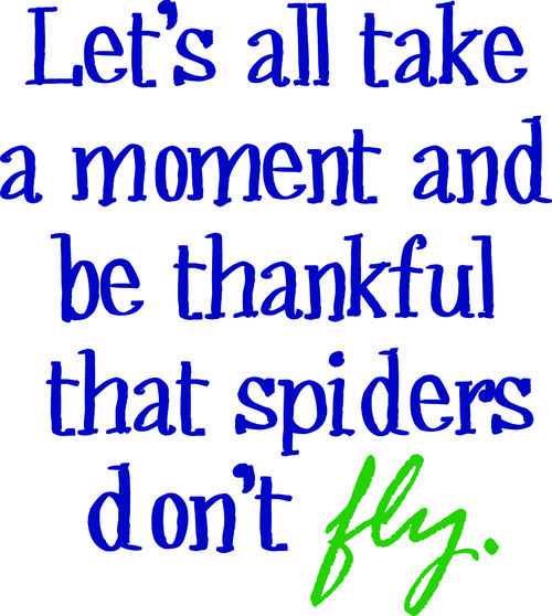 Let’s all take a moment and be thankful that spiders don’t fly.