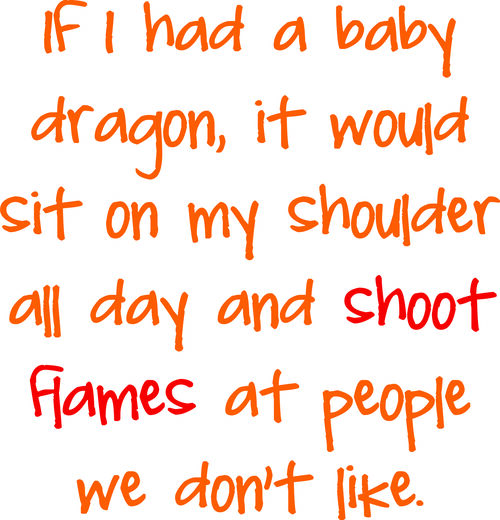 If I had a baby dragon, it would sit on my shoulder all day and shoot flames at people we don’t like