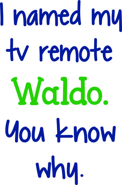 I named my tv remote Waldo. You know why