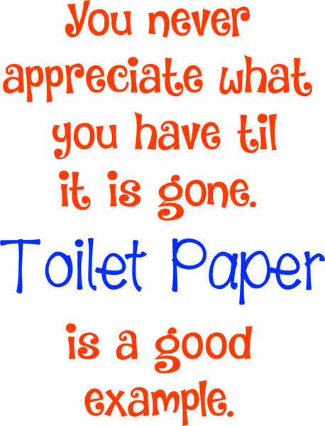 You never appreciate what you have til it’s goe. Toilet paper is a good exmple