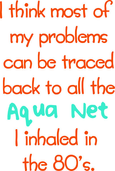 I think most of my problems can be traced back to all the Aqua Net I inhaled in the 80’s.