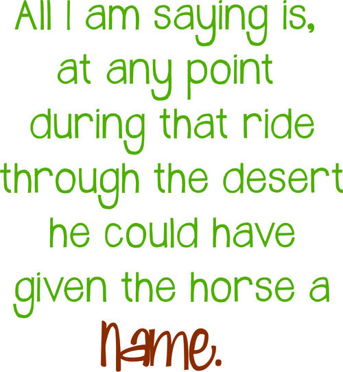 All I am saying is at any point through that ride in the desert he could have given the horse a name