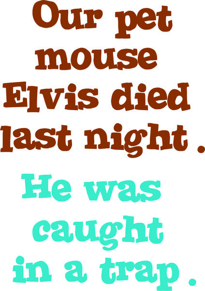 Our pet mouse, Elvis, died last night. He was caught in a trap.