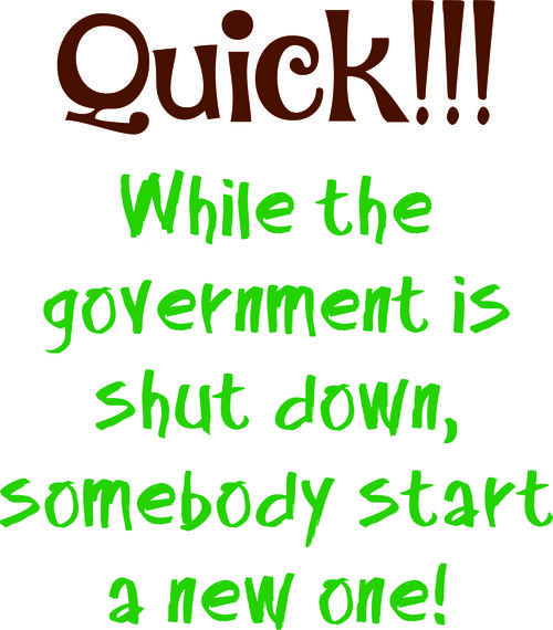 Quick!!! While the government is shut down somebody start a new one.