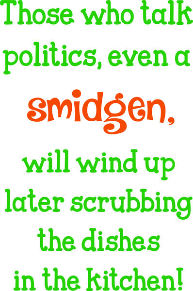 Those who talk politics, even a smidge, will wind up later scrubbing dishes in the kitchen.