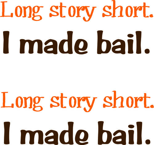 Long story short. I made bail.