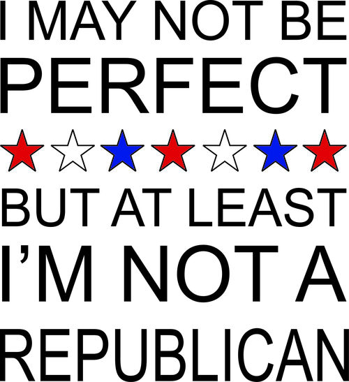 I may not be perfect, but at least I’m not a Republican.