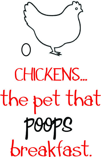 Chickens? The pet that poops breakfast.