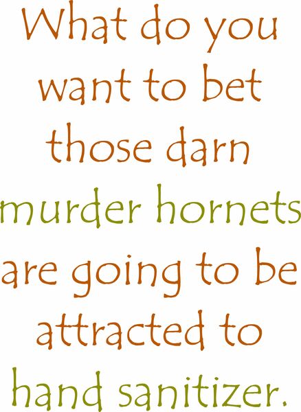 What do you want to bet those darn murder hornets are going to be attracted to hand sanitizer?