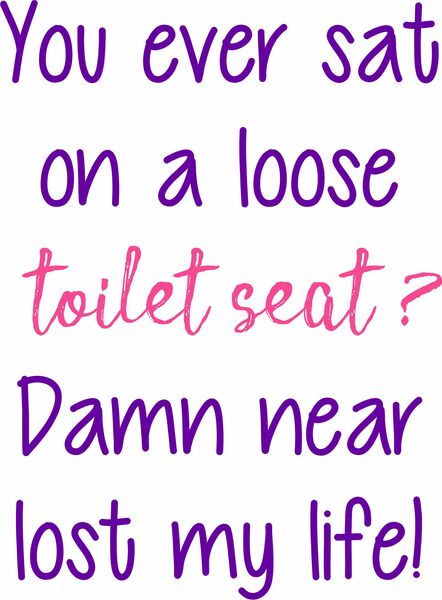 You ever sat on a loose toilet seat? Damn near lost my life.