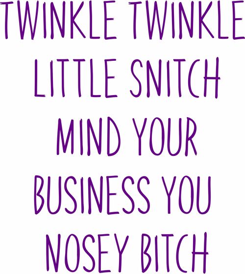 Twinkle Twinkle little snitch, mind your business you nosey bitch.