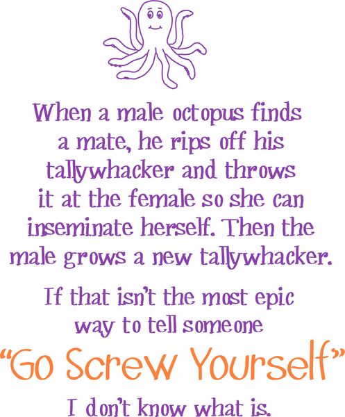 When a male octopus finds his mate, he rips off his tallywhacker and throws it at the female so she can inseminate herself. Then the male grows a new tallywhacker.If that isn't the most epic way to tell someone "Go Screw Yourself", I don't know what is.