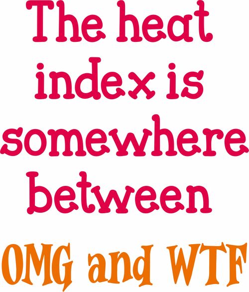 The heat index is somewhere between OMG and WTF