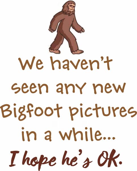 We haven't seen any new pictures of Bigfoot lately. I hope he's OK.