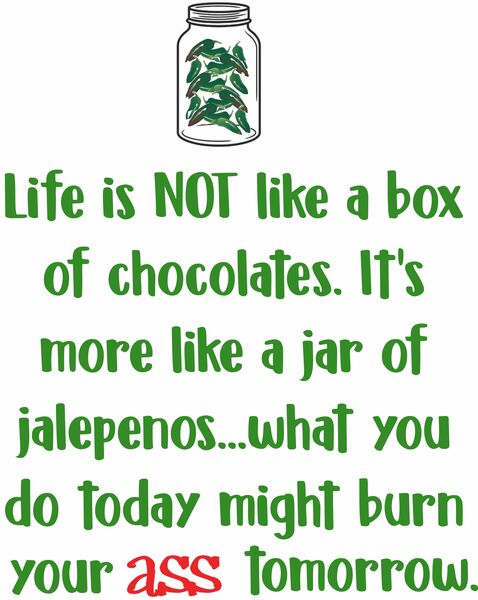 Life is NOT like a box of chocolates. It's more like a jar of jalepeno. . . what you do today might burn your ass tomorrow.