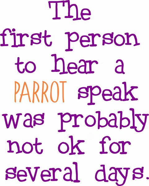 The first person to hear a parrot speak was probably not ok for several days.