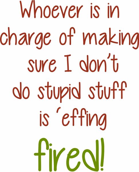 Whoever is in charge of making sure I do do stupid stuff is 'effing fired!