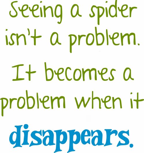 Seeing a spider isn't a problem. It becomes a problem when it disappears.