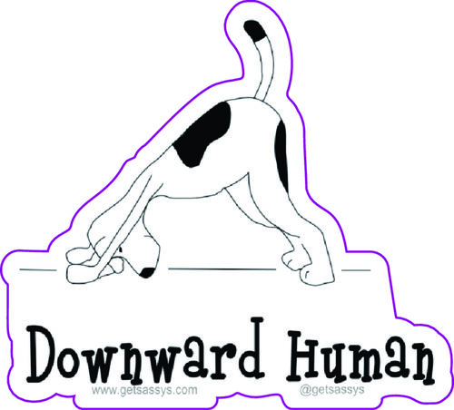 Downward Human