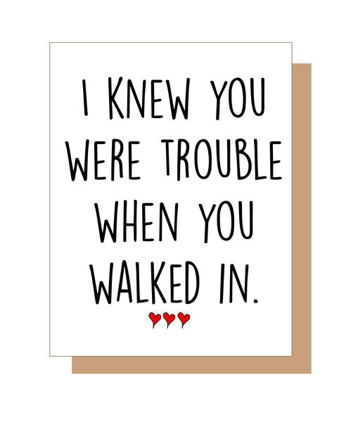 I knew you were trouble the minute you walked in.