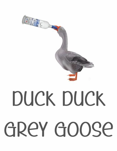 Duck Duck Grey Goose