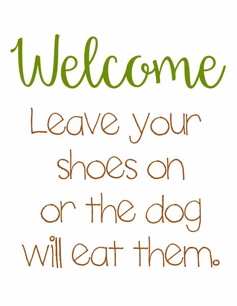 Welcome leave your shoes on, or the dog will eat them.