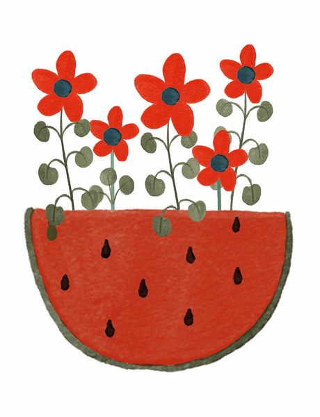 Watermelon Poppy