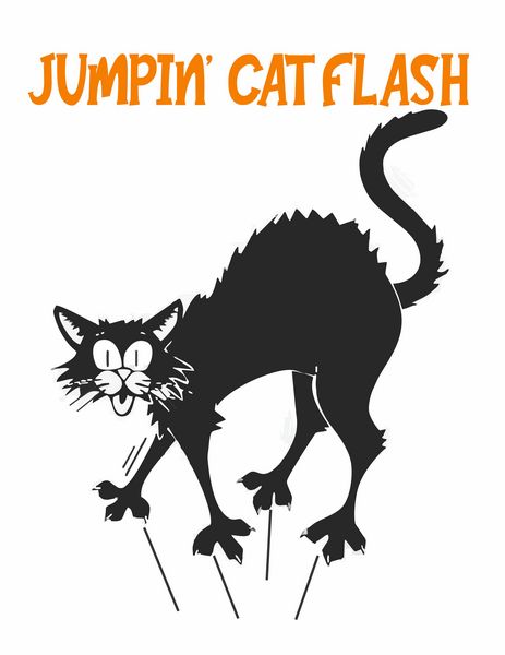 Jumpin Cat Flash