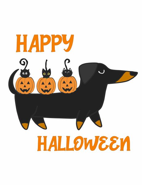 Happy Halloween Cats and Dogs