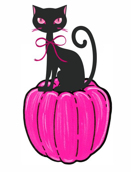 Pink Pumpkin w Black Cat