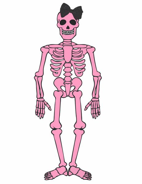 Pink Skeleton