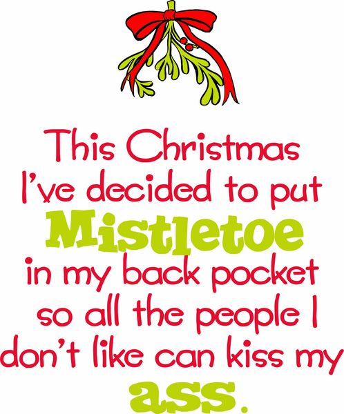 This Christmas, I have decided to put mistletoe in my back pocket, so all the people I don’t like can kiss my ass!