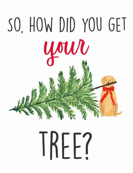 So, How did you get your tree?