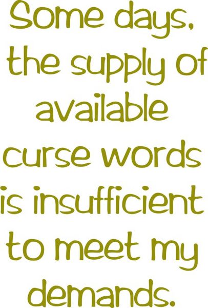 Some days the supply of available curse wordsis insufficient to meet my needs.