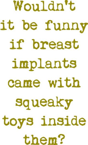 Wouldn’t it be funny if breast implants came with squeaky toys inside?