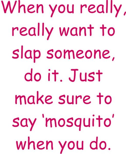 When you really, really want to slap someone. Do it. Just make sure to say ’mosquito’ when you do.