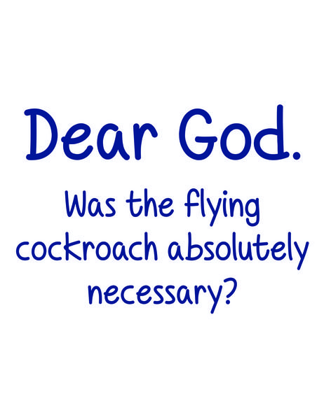 Dear God. Was the flying cockroach absolutely necessary?