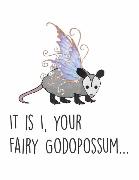 It is I, Your Fairy Godopossum?