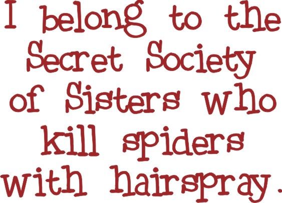 I belong to the Secret Society of Sisters who kill spiders with hairspray.